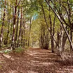 Haus 11 In Mit Seeblick Und Sauna Nyaraló