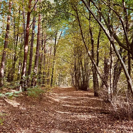 Haus 11 In Mit Seeblick Und Sauna Hébergement de vacances