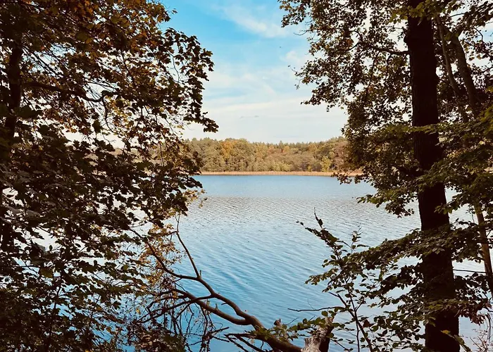 Feriehus Haus 11 In Mit Seeblick Und Sauna