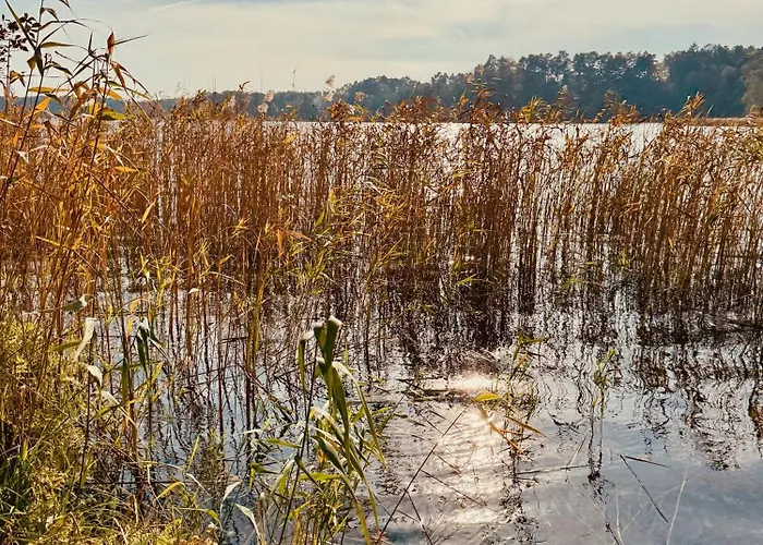 Feriehus Haus 11 In Mit Seeblick Und Sauna Templin