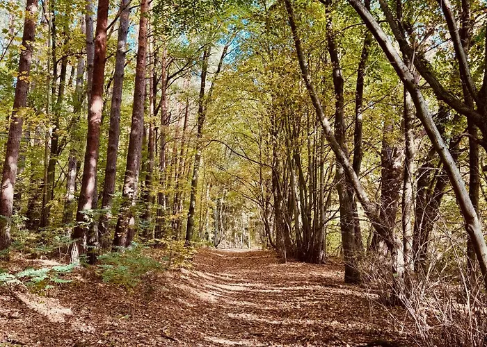 Haus 11 In Mit Seeblick Und Sauna Feriehus